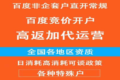 深度解析：百度推广代运营的成功要素